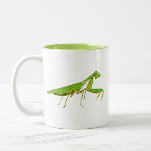 Giant Green Praying Mantis Mug