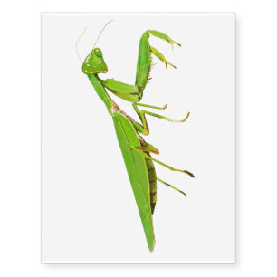 Giant Green Praying Mantis Temporary Tattoo