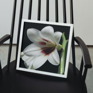 Giant Himalayan Lily Bloom Floral Poster