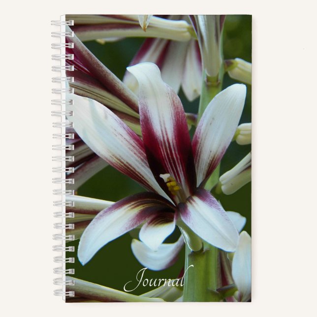 Giant Himalayan Lily Floral Notebook (Front)