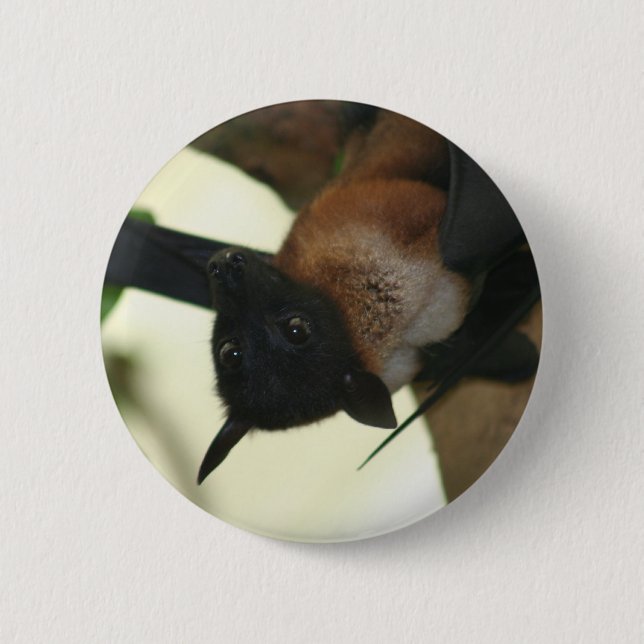 Giant Indian Fruit Bat Button (Front)