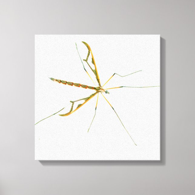 giant insect wrapped canvas print (Front)