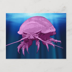 Giant Isopod Postcards