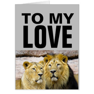 GIANT JUMBO LION LIONESS BIRTHDAY CARD