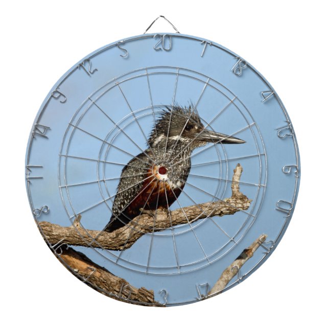 Giant Kingfisher Dart Board (Front)