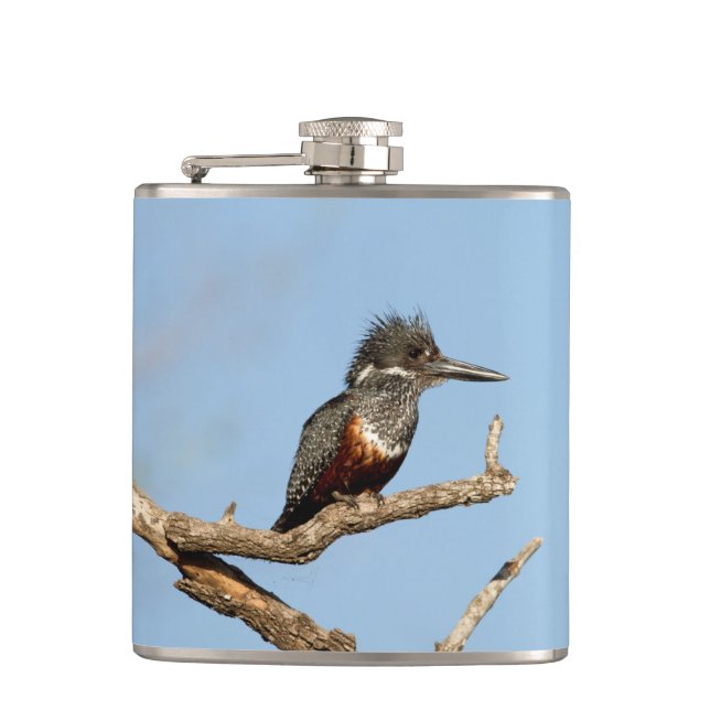 Giant Kingfisher Flask (Front)