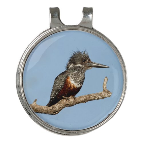 Giant Kingfisher Golf Hat Clip