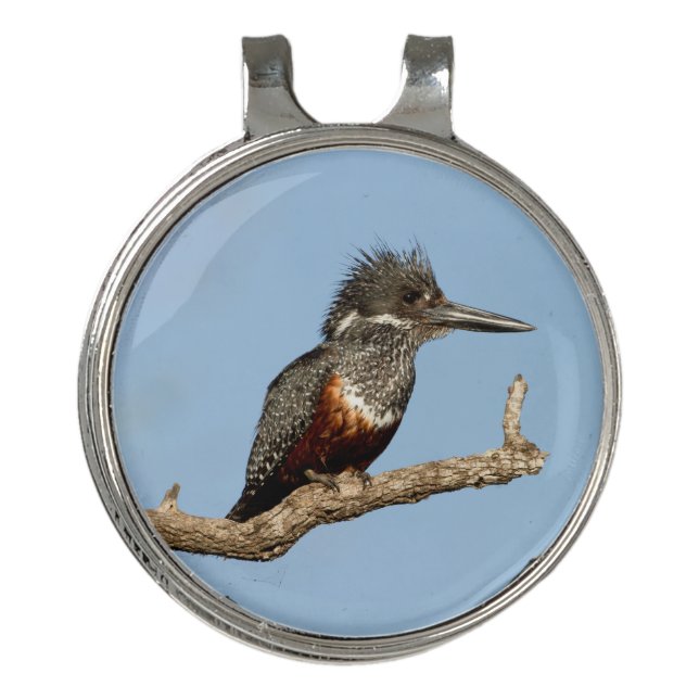 Giant Kingfisher Golf Hat Clip (Front)