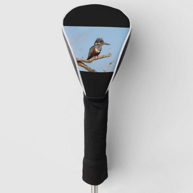 Giant Kingfisher Golf Head Cover (Front)