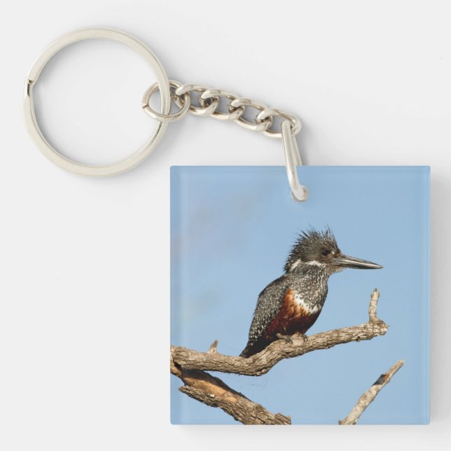 Giant Kingfisher Keychain (Front)