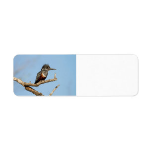 Giant Kingfisher Label