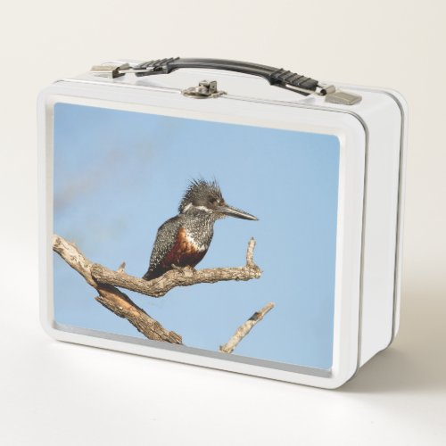 Giant Kingfisher Metal Lunch Box