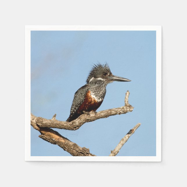 Giant Kingfisher Napkins (Front)