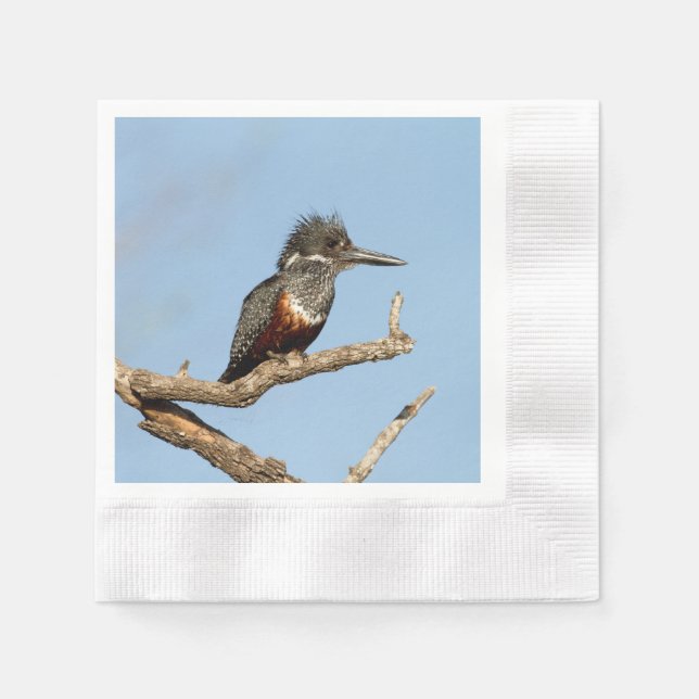 Giant Kingfisher Napkins (Front)