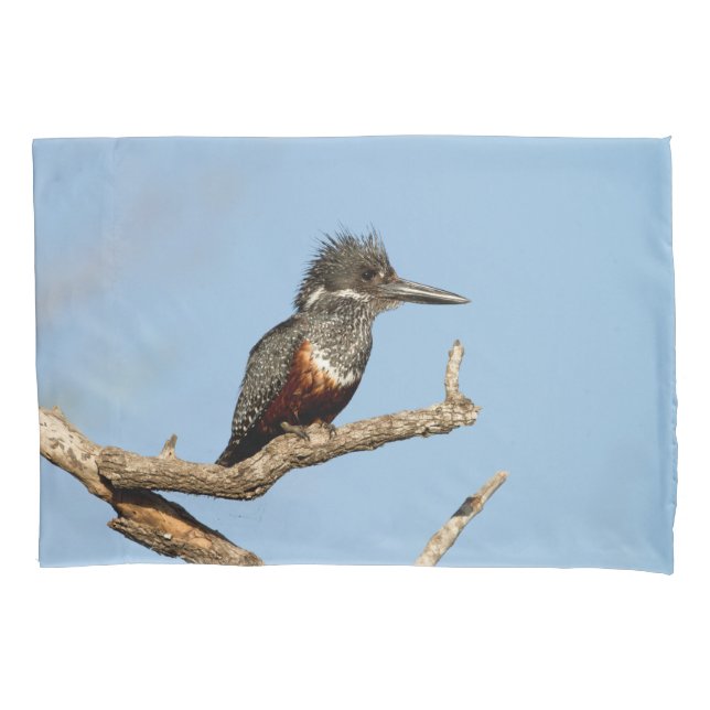 Giant Kingfisher Pillow Case (Front)