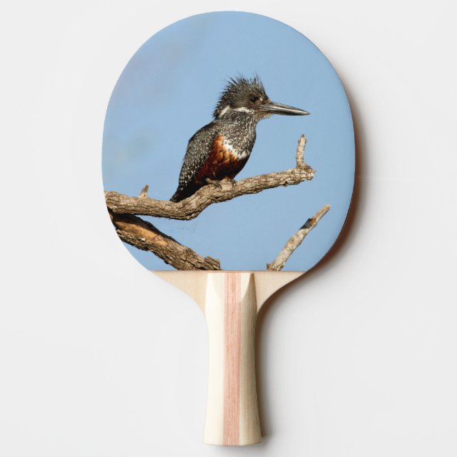 Giant Kingfisher Ping Pong Paddle (Back)