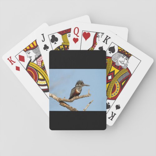 Giant Kingfisher Poker Cards