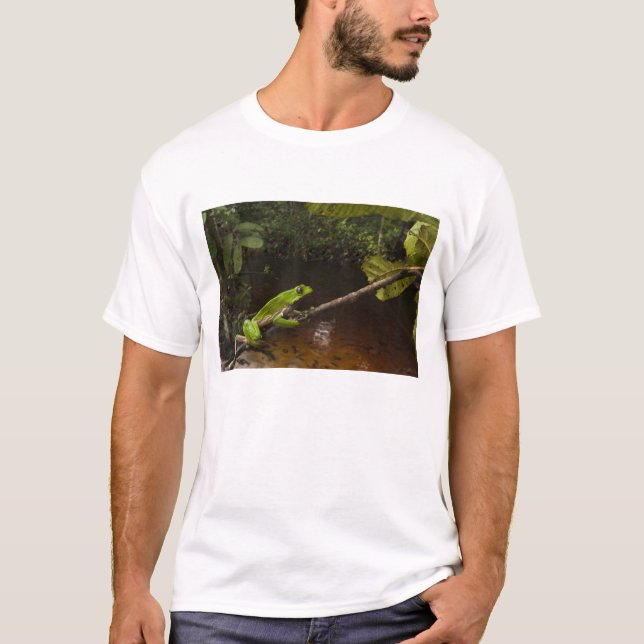 Giant leaf frog Phyllomedusa bicolor) 2 T-Shirt (Front)