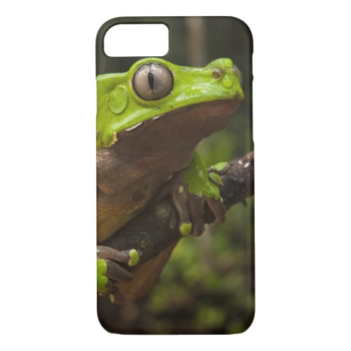 Giant leaf frog Phyllomedusa bicolor iPhone 87 Case