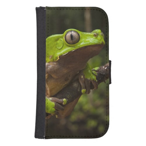 Giant leaf frog Phyllomedusa bicolor Wallet Phone Case For Samsung Galaxy S4