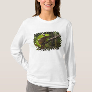 Giant leaf frog Phyllomedusa bicolor) T-Shirt