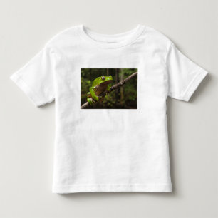 Giant leaf frog Phyllomedusa bicolor) Toddler T-shirt