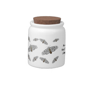 Giant leopard moth cartoon illustration candy jar