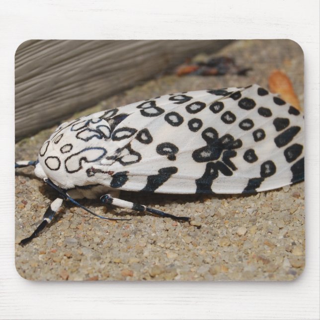 Giant Leopard Moth Mouse Pad (Front)