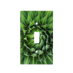 Giant Lobelia   Mount Kenya National Park, Kenya Light Switch Cover