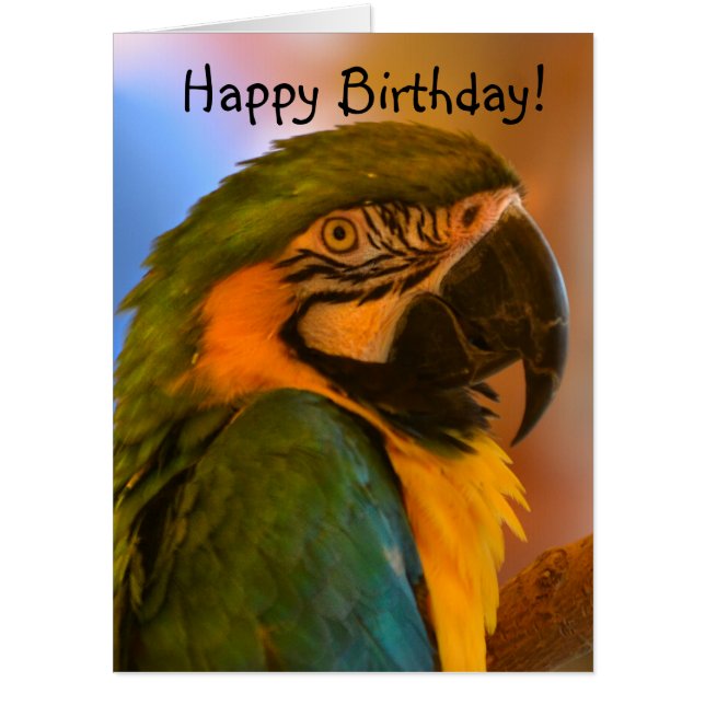 Giant Macaw Parrot Card (Front)