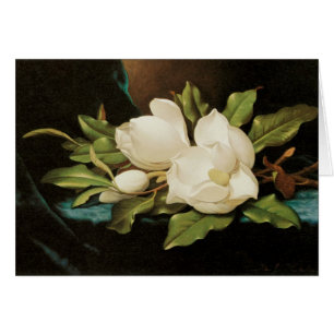 Giant Magnolias on a Blue Velvet Cloth by MJ Heade