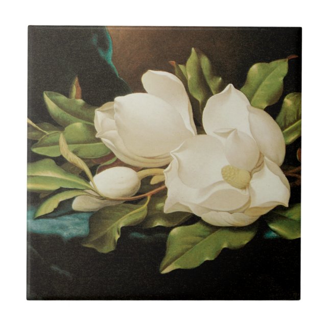 Giant Magnolias on a Blue Velvet Cloth by MJ Heade Ceramic Tile (Front)