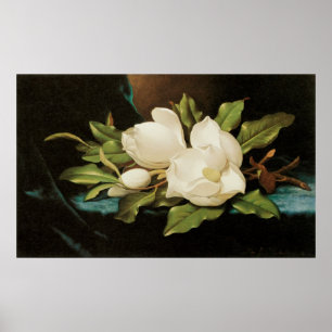 Giant Magnolias on a Blue Velvet Cloth by MJ Heade Poster