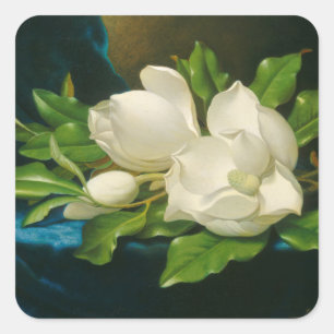 Giant Magnolias on a Blue Velvet Cloth, c.1890 (oi Square Sticker