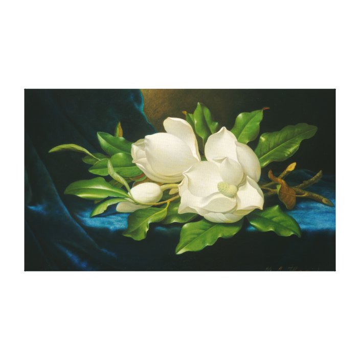 Giant Magnolias on a Blue Velvet Cloth Canvas Print | Zazzle.com