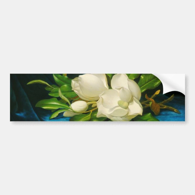 Giant Magnolias on a Blue Velvet Cloth (Heade) Bumper Sticker (Front)