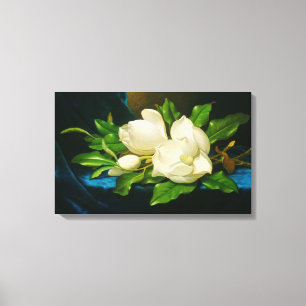 Giant Magnolias on a Blue Velvet Cloth (Heade) Canvas Print