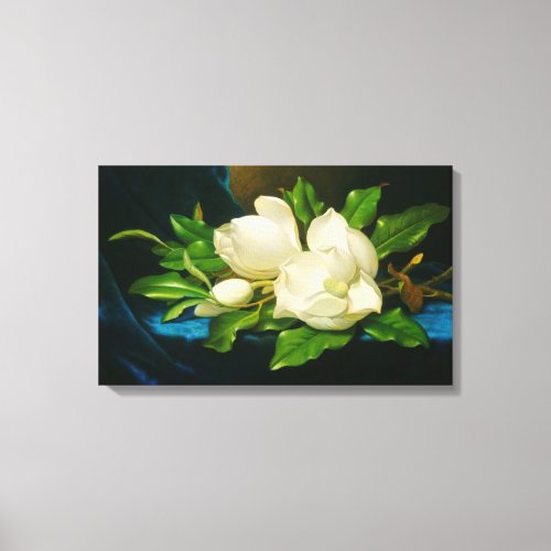 Giant Magnolias on a Blue Velvet Cloth Heade Canvas Print