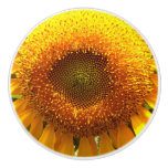 Giant mammoth yellow sunflower ceramic knob