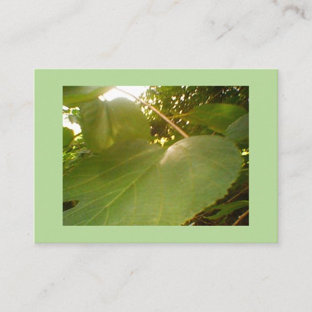 Giant Mulberry Leaf Business Card (Front)
