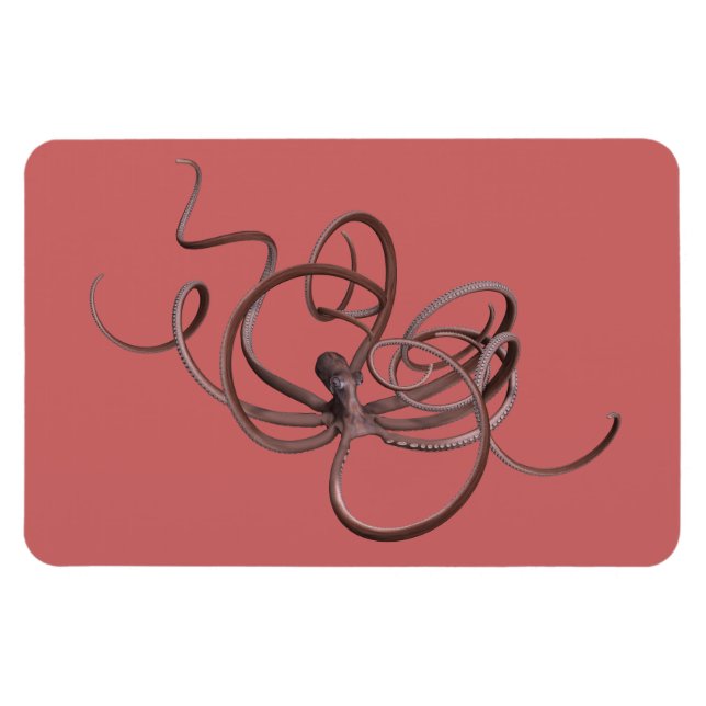 Giant Octopus Magnet (Horizontal)