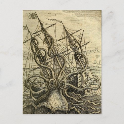 Giant Octopus Vintage 1801 Etching Postcard