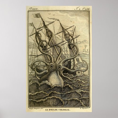Giant Octopus Vintage 1801 Etching Poster