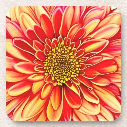 Giant Orange and Golden Yellow Aster Flower  Beverage Coaster