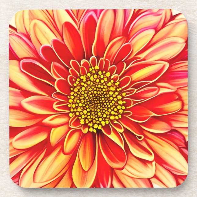 Giant Orange and Golden Yellow Aster Flower  Beverage Coaster (Front)