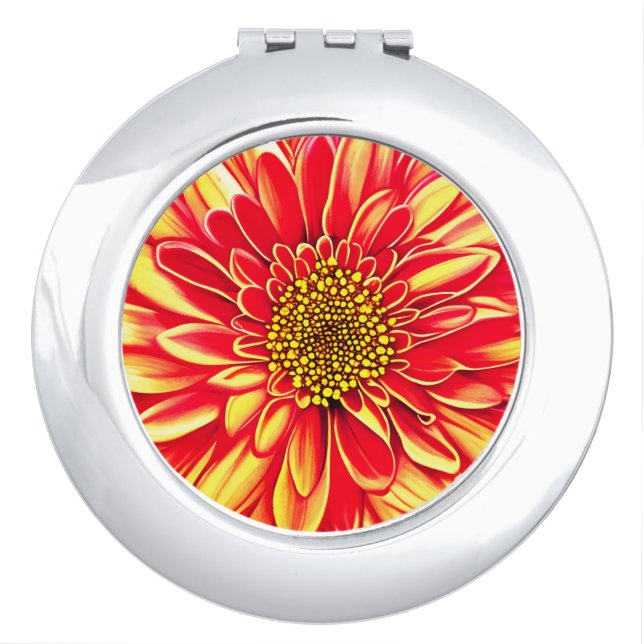 Giant Orange and Golden Yellow Aster Flower  Compact Mirror (Front)