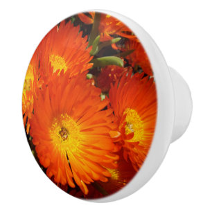 Giant Orange Daisies, Ceramic Knob
