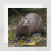 Giant Otter's Footprints (Front/Back)