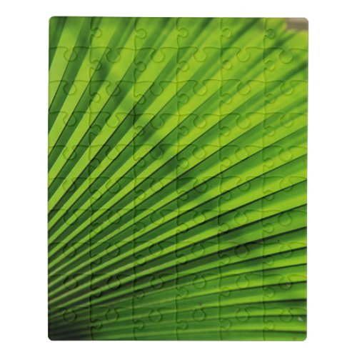 Giant Palm Leaf Pattern Jigsaw Puzzle