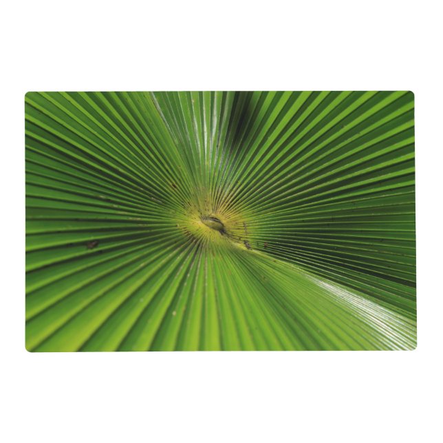 Giant Palm Leaf, Queensland Placemat (Front)